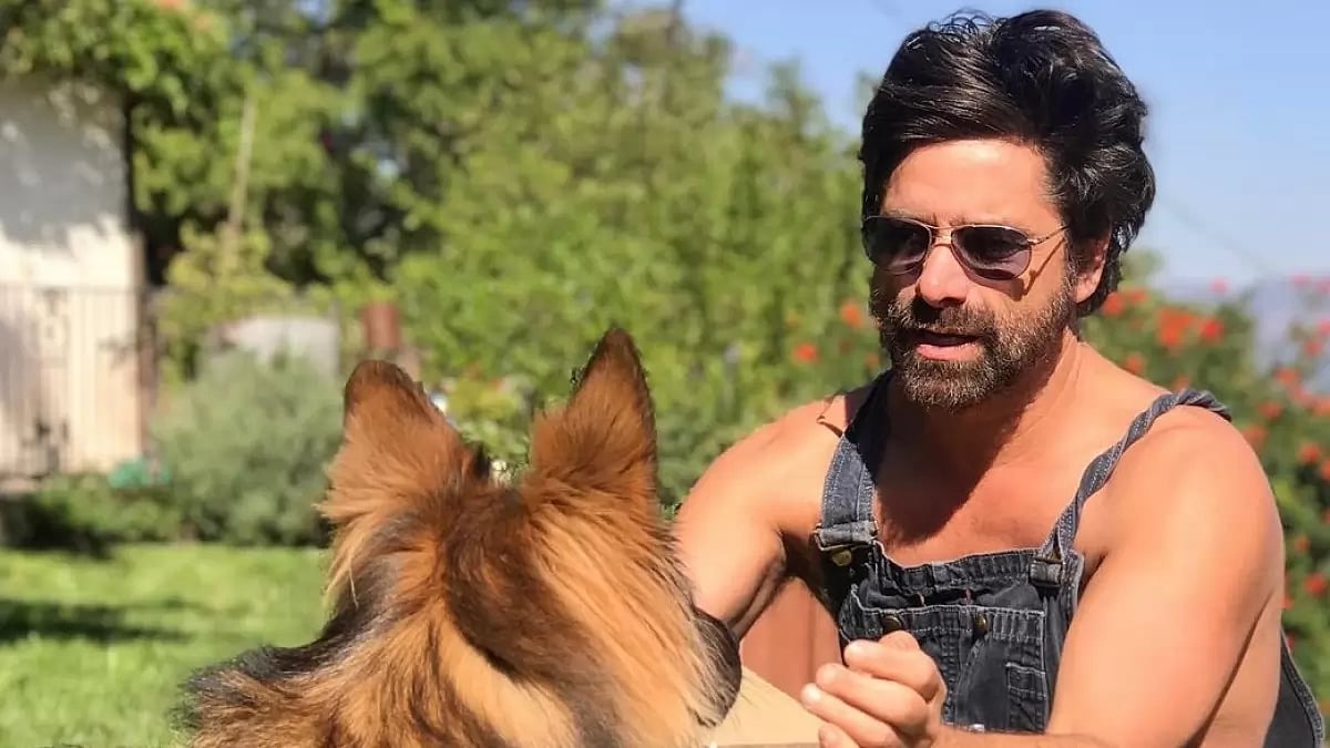 John Stamos 