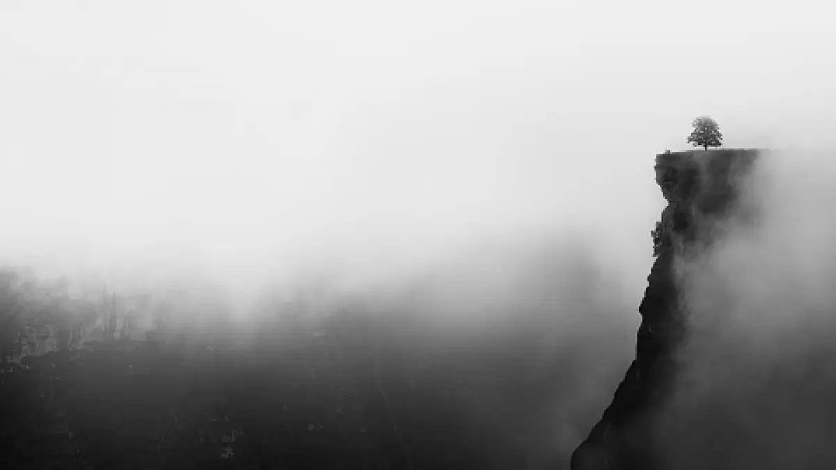 'Vanishing Words' book review