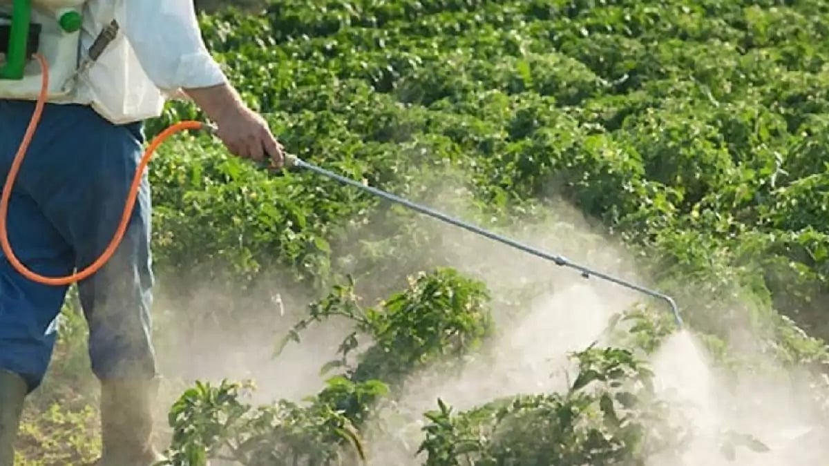 Kerala Endosulfan tragedy