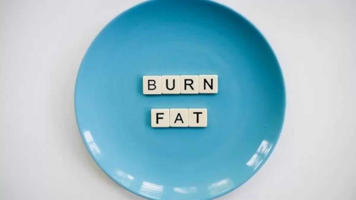 Youtheory Fat Burner [Exposed] A Detailed Overview