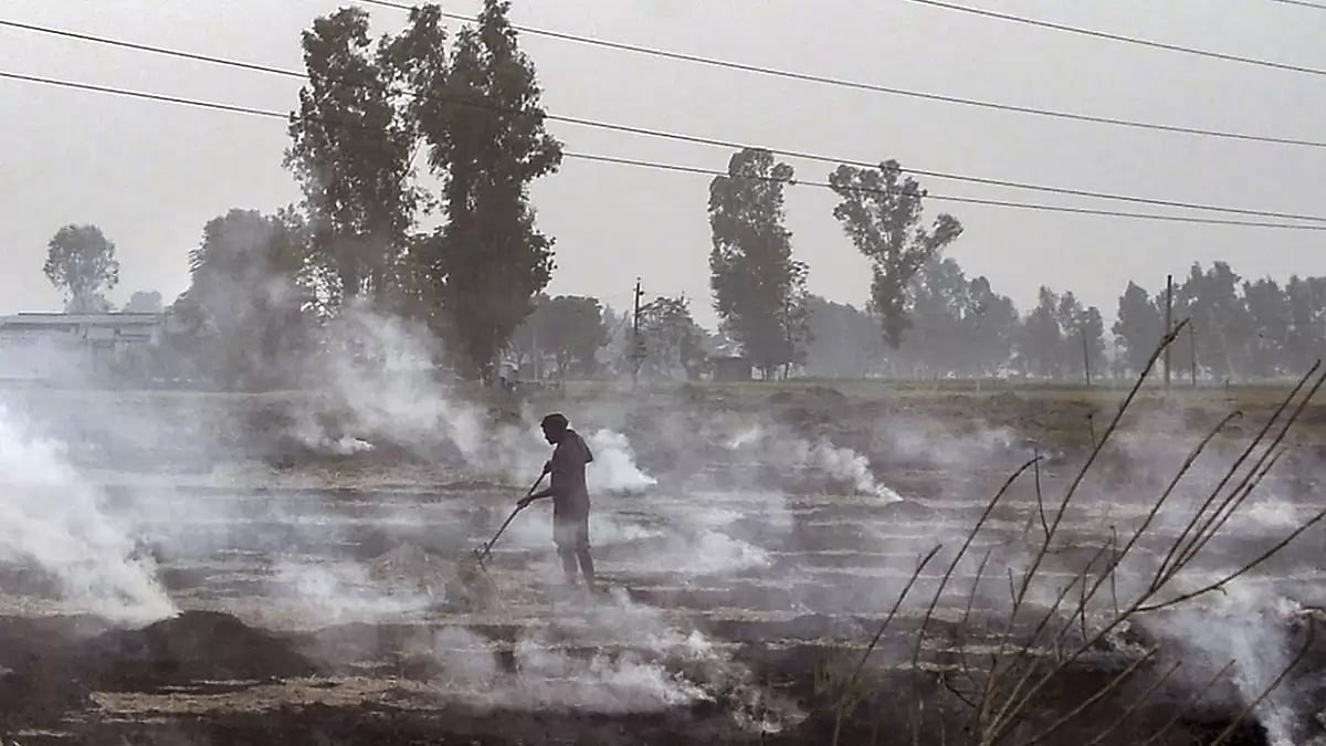 Paddy stubble burning in Jalandhar