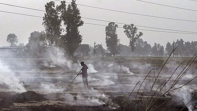 Stubble Burning: Will Winters In Punjab Be Smoke Free This Time?