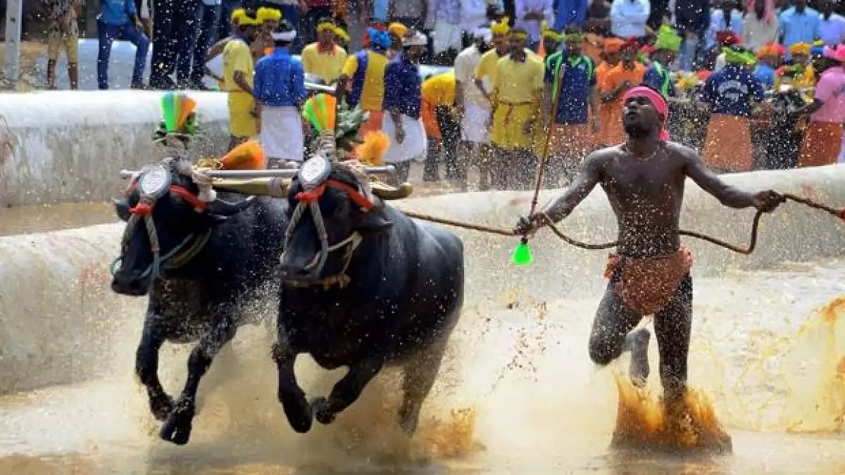 Representational image