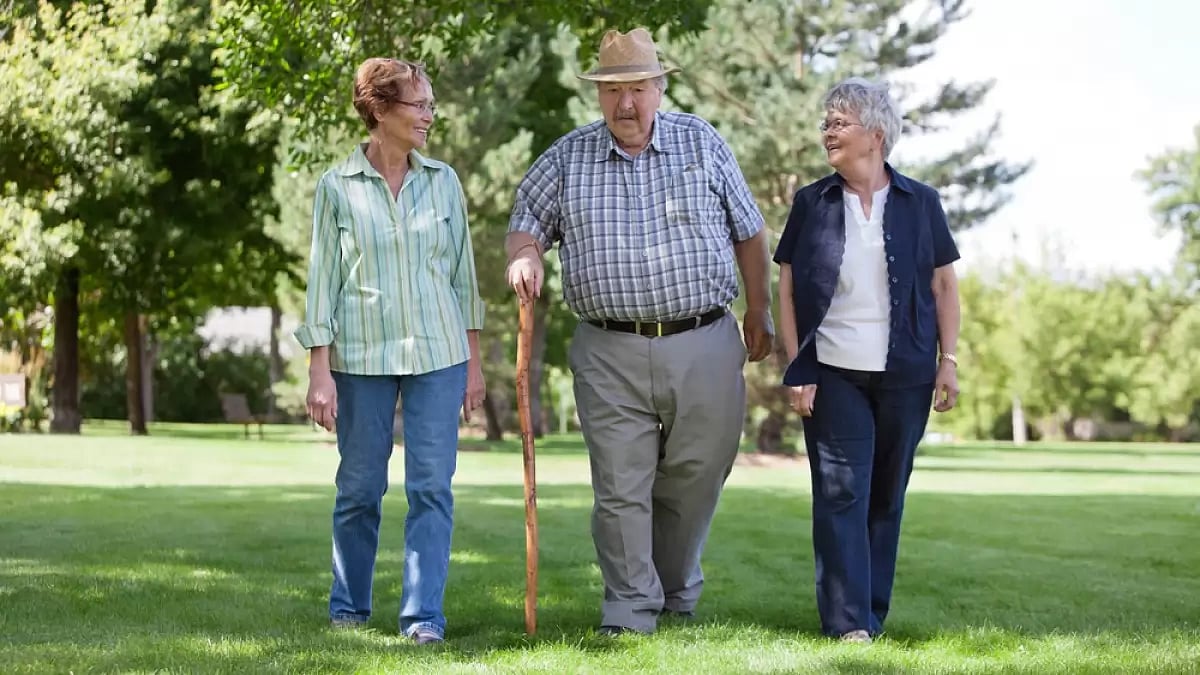 Senior citizens could take 80D benefits of the Income Tax Act for medical expenses and health insura