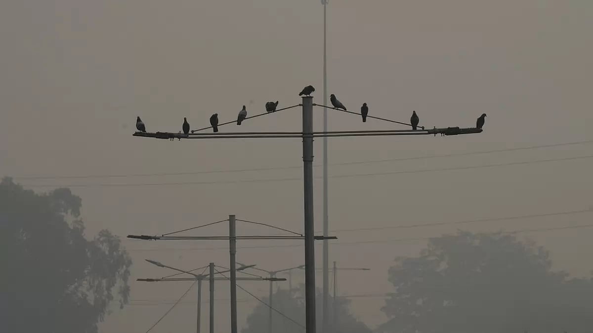 Weather: Air pollution in Delhi 