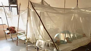 Malaria and other mosquito-borne diseases continue to plague the developing world (Representative Photo)