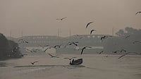 The Hindi Anthropocene
