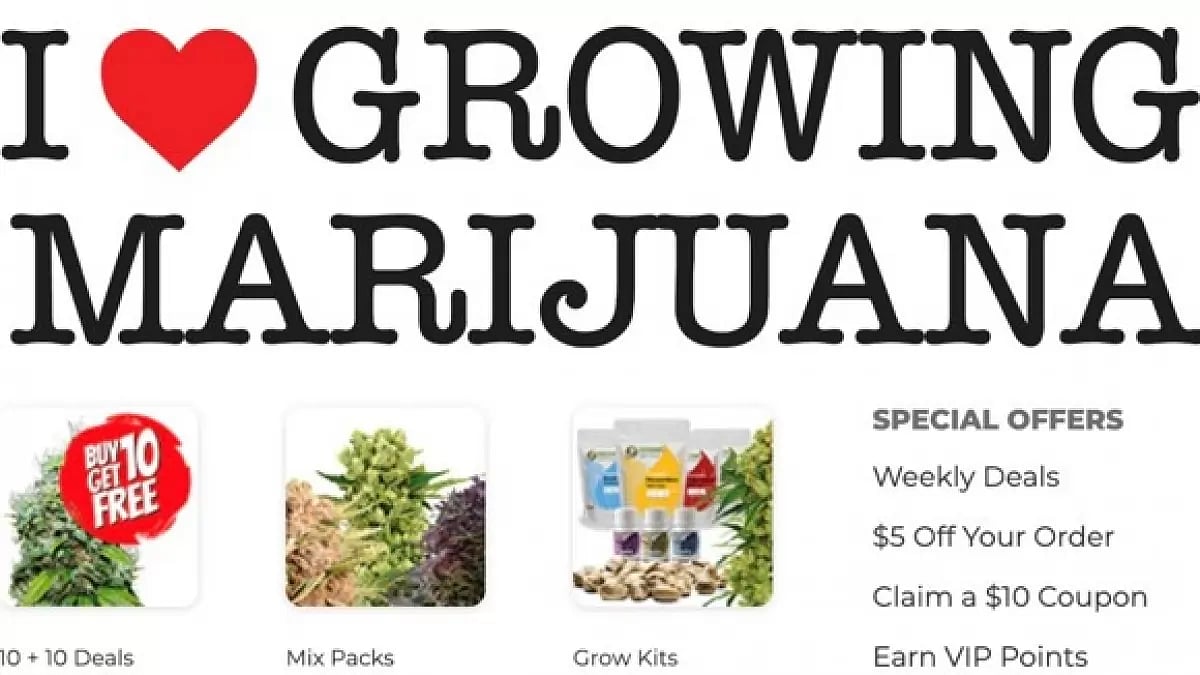 I Love Growing Marijuana