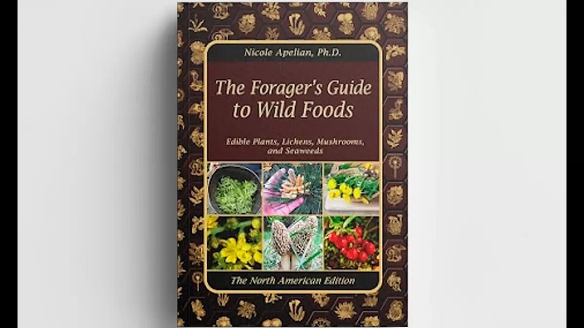The Forager’s Guide to Wild Foods