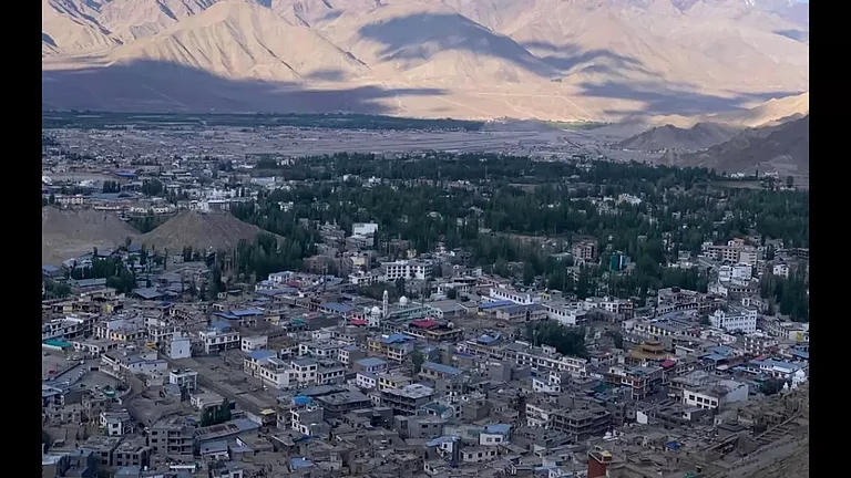 Aerial view of Leh - null