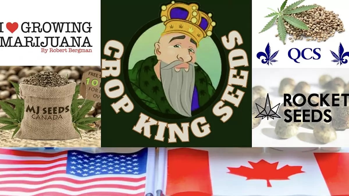 Best Canadian Seed Banks