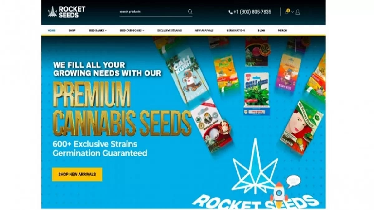 Rocket Seeds