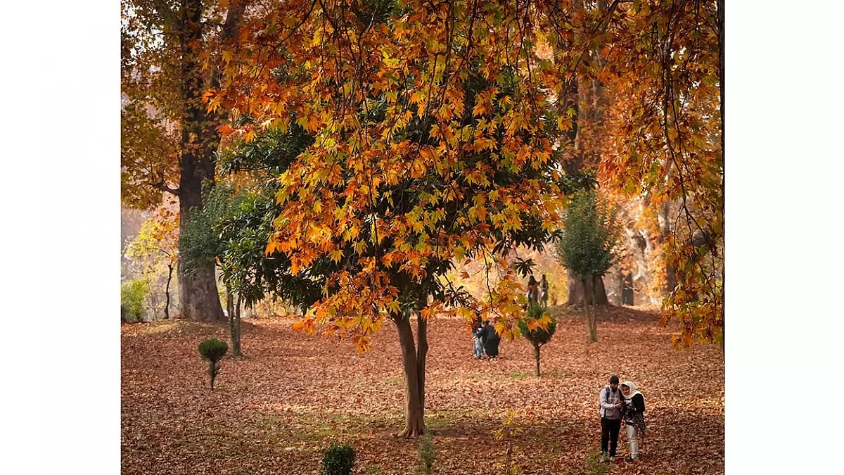 Kashmir Autumn