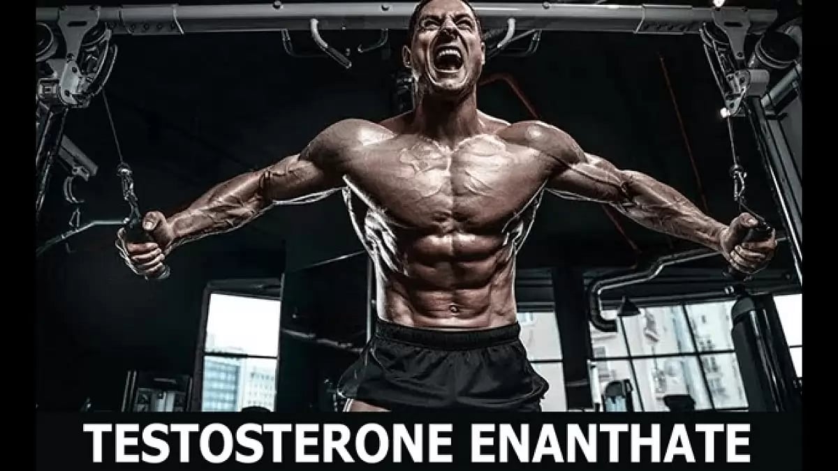 Testosterone Enanthate