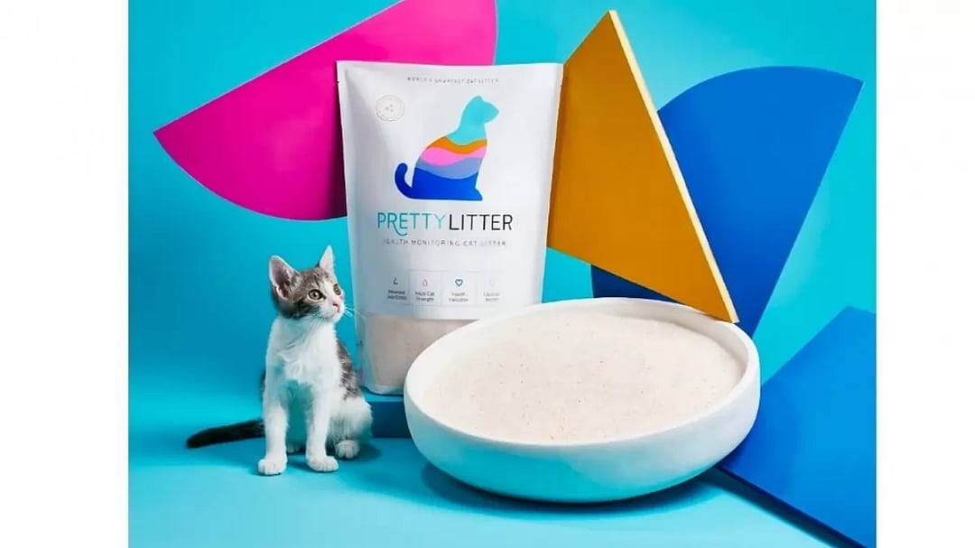 Pretty litter reviews deals
