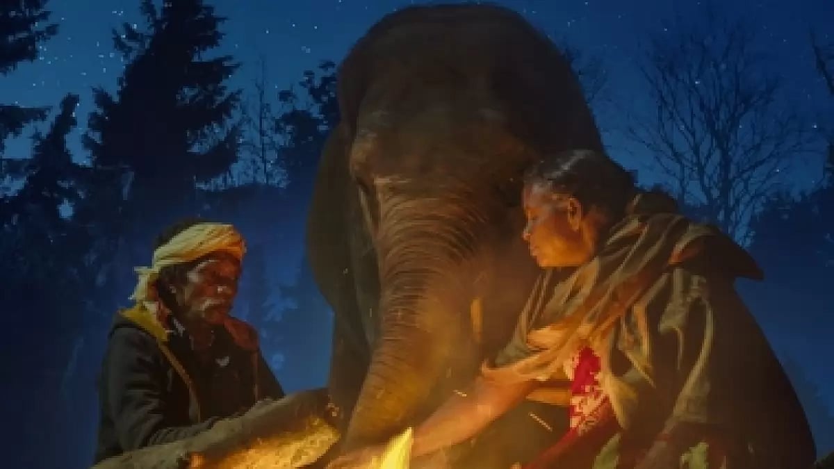 ‘The Elephant Whisperers’