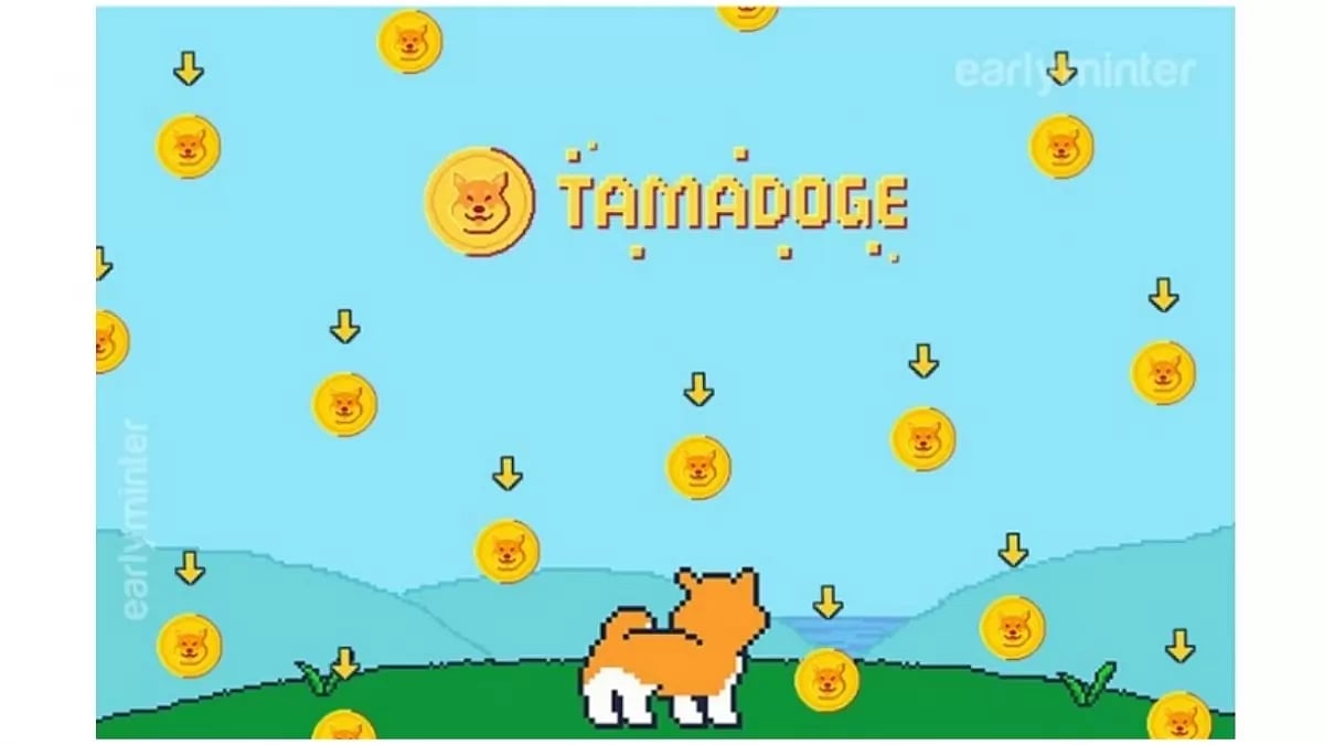 XRP Sees BIG Price Drop