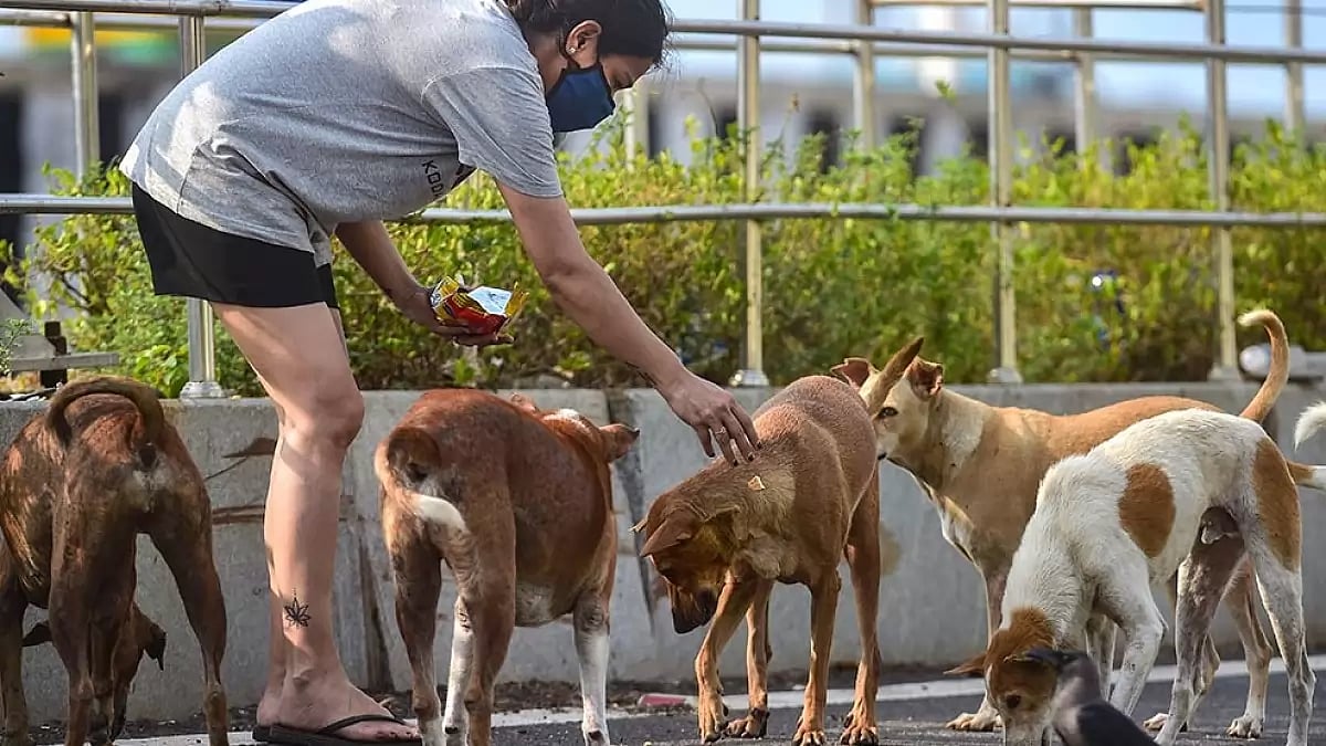 A Gurugram court banned 11 foreign breeds of dogs in the city.