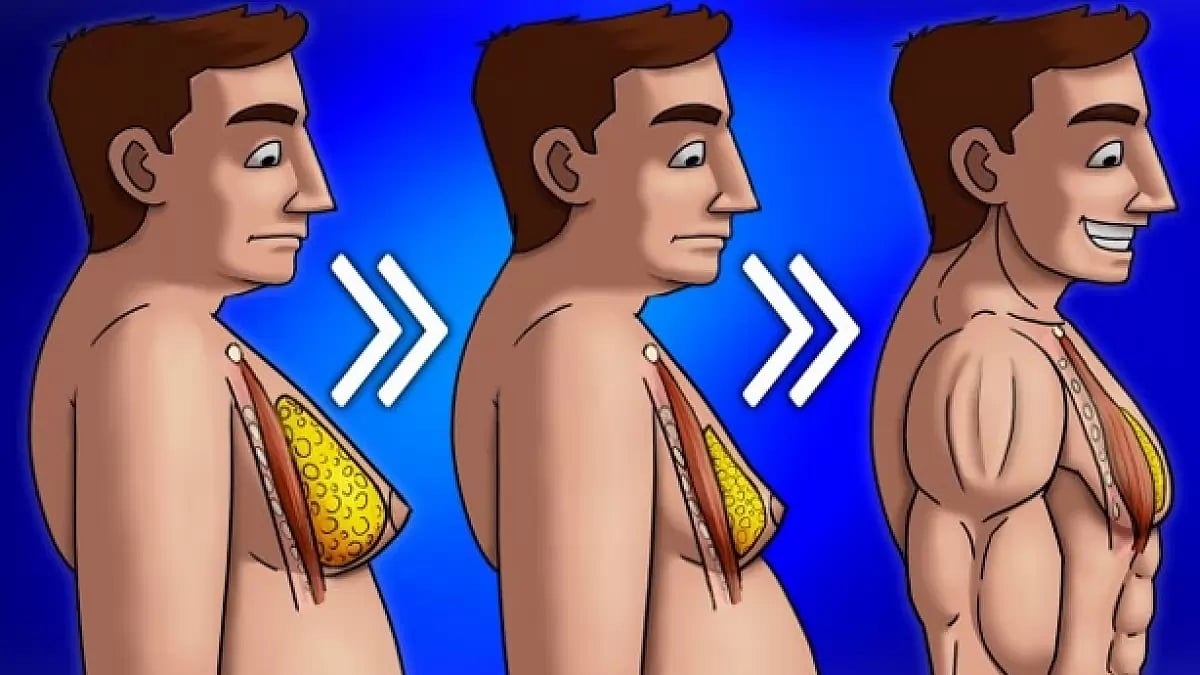 best available supplements 