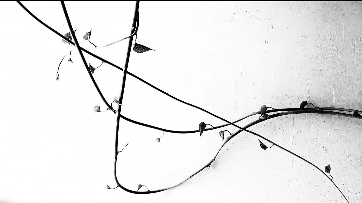 While the wind rattles your old veins, cheer every quiver...