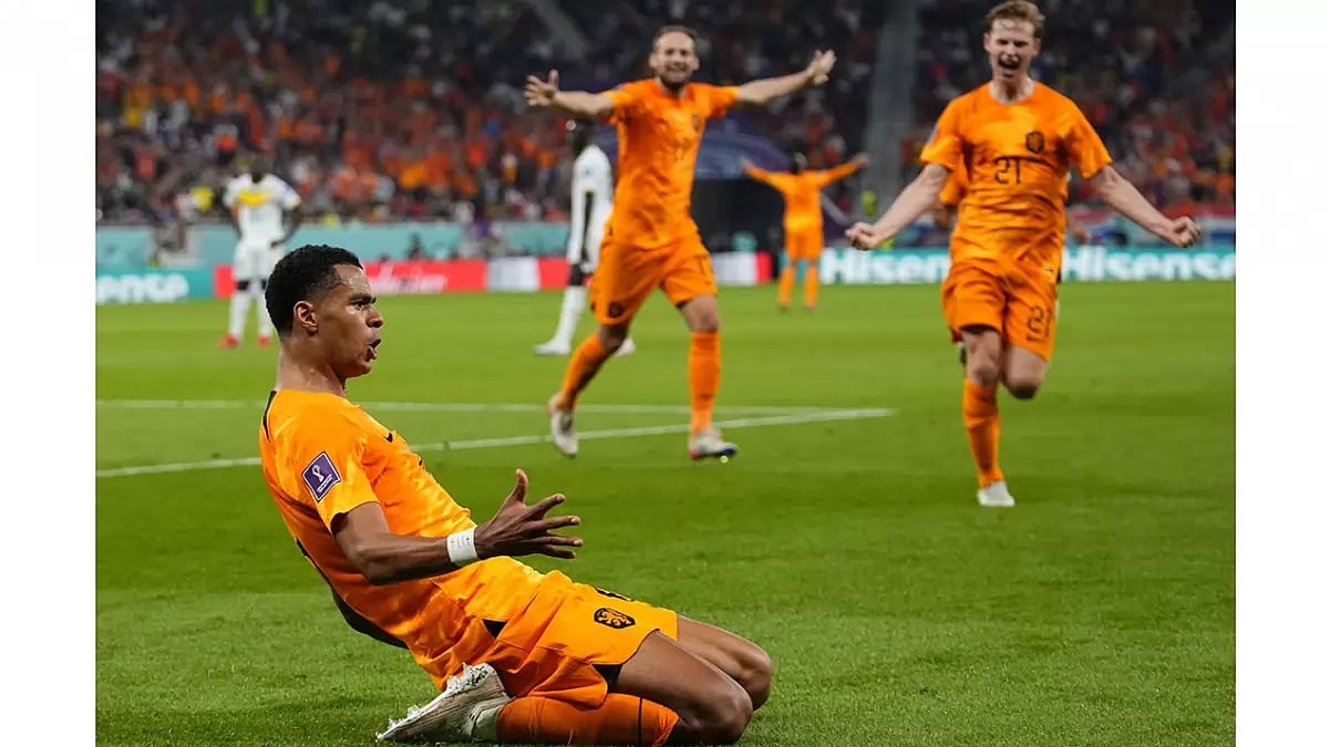 Cody Gakpo (L) was one of the stars for Netherlands at the WC.