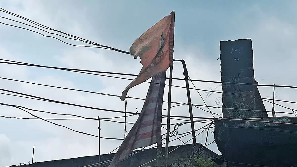 The Adivasi World: One With The Earth