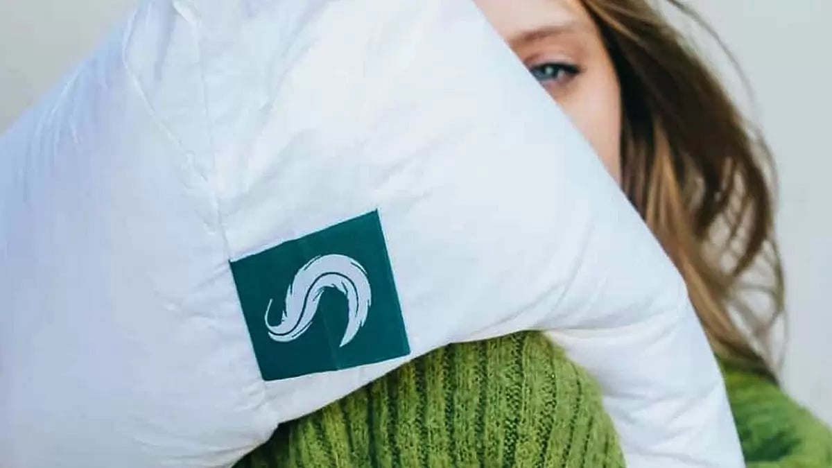 SleepGram Pillow Reviews