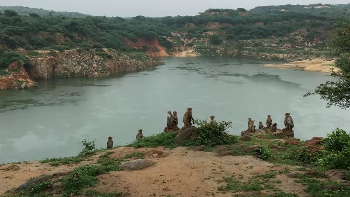 Asola Bhatti Wildlife Sanctuary 