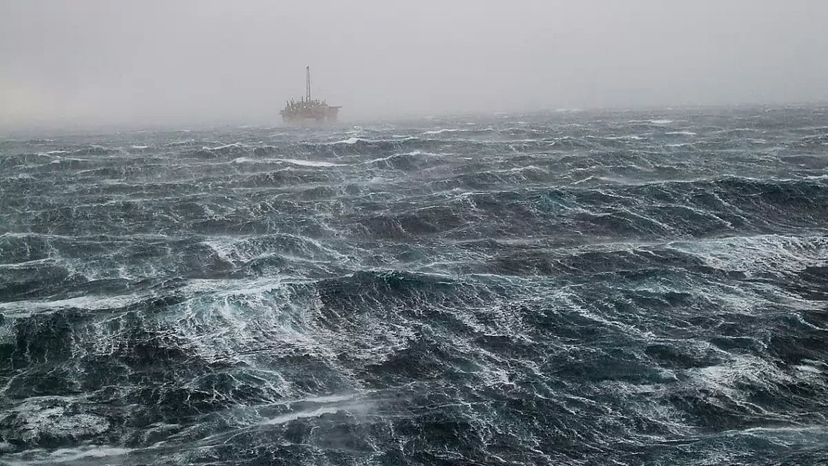 Sci-Fi: Excerpts Of The Body By The Shore