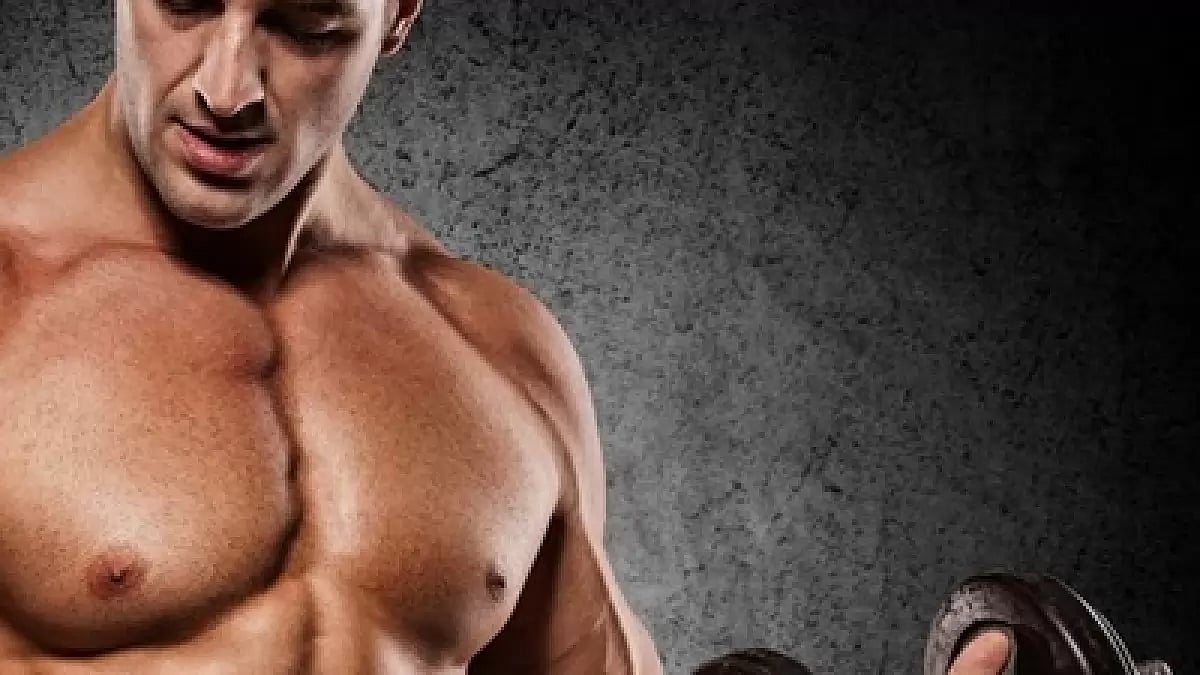 Best Human Growth Supplements 