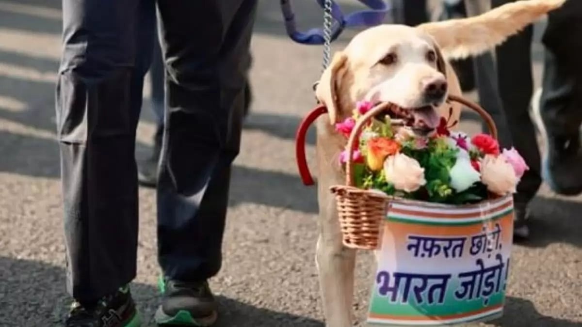 The dogs handed over two baskets of bouquets to Rahul Gandhi