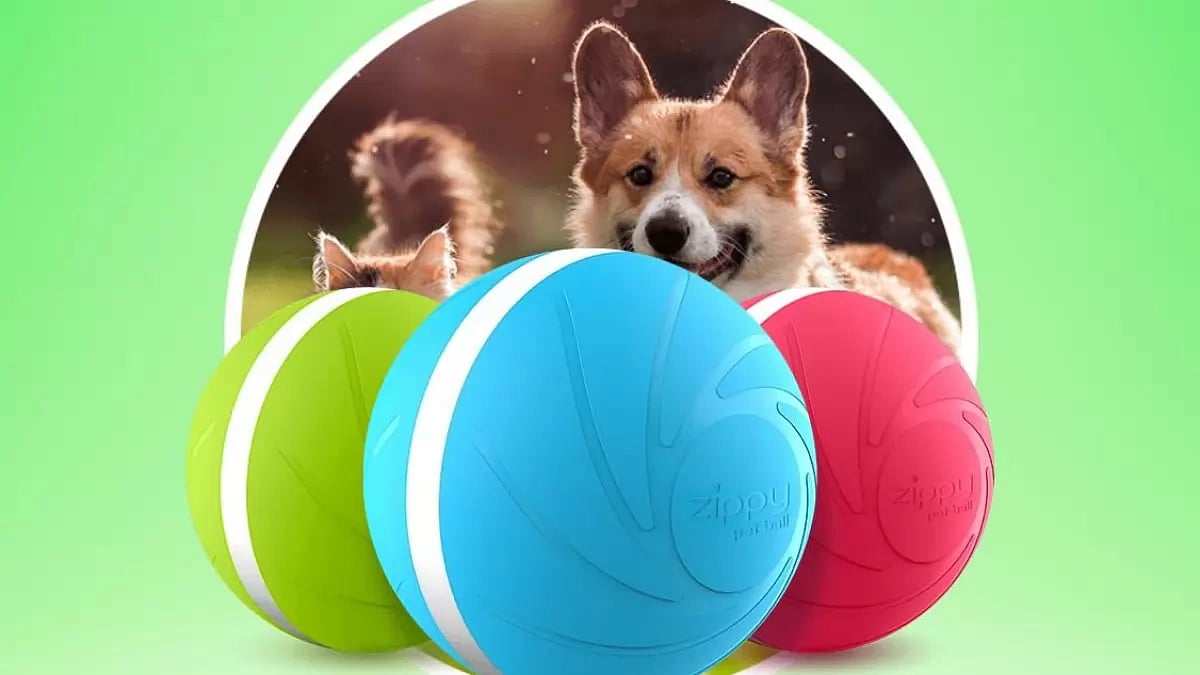 Peppy Pet Ball Reviews 