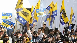 Aam Aadmi Party supporters celebrate the MCD election at the AAP party office in New Delhi