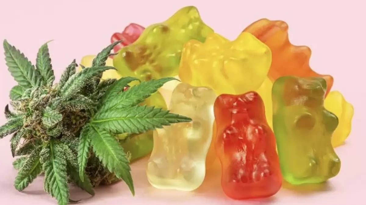 Green Spectrum CBD Gummies 