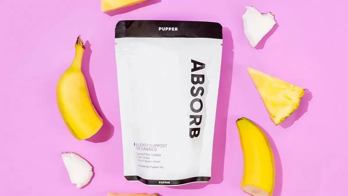 Best Probiotics for Dogs With Allergies