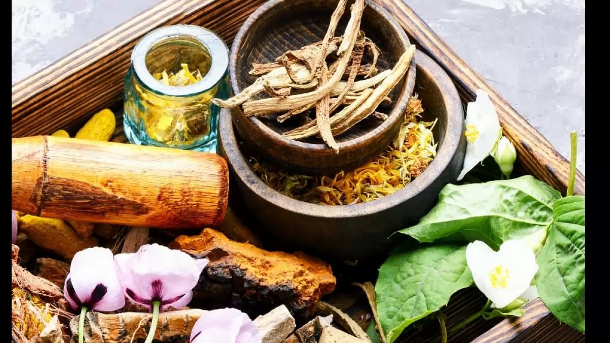 Best Tongkat Ali Supplements