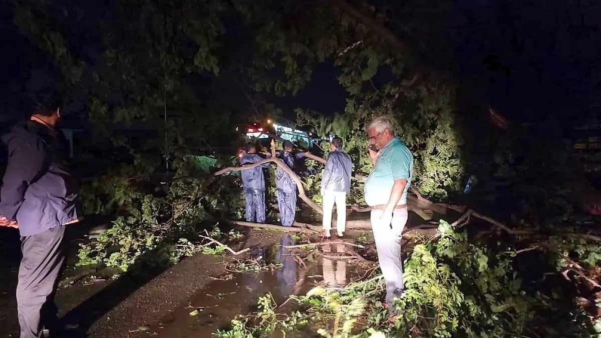 Greater Chennai Corporation frontline workers clearing uprooted trees