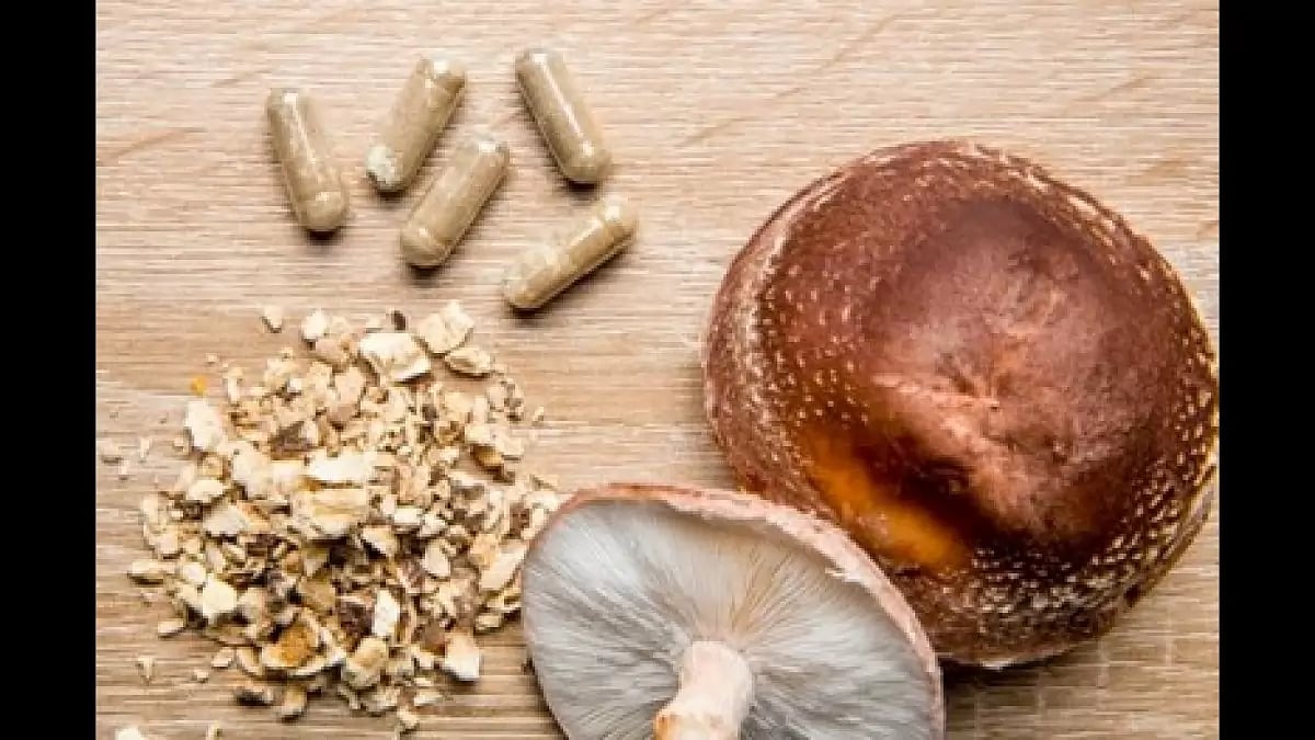 Best Mushroom Supplements 2023