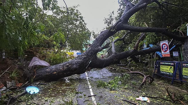 Cyclone Mandous Brings Rain In Andhra Pradesh Parts