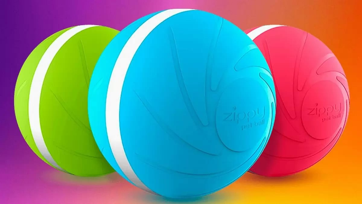 Zippy Pet Ball Reviews