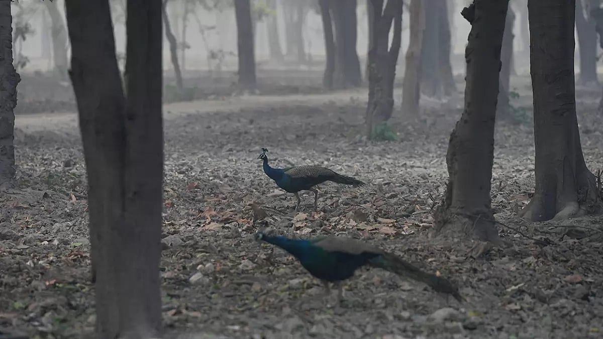 Weather: Winter morning in Ghaziabad