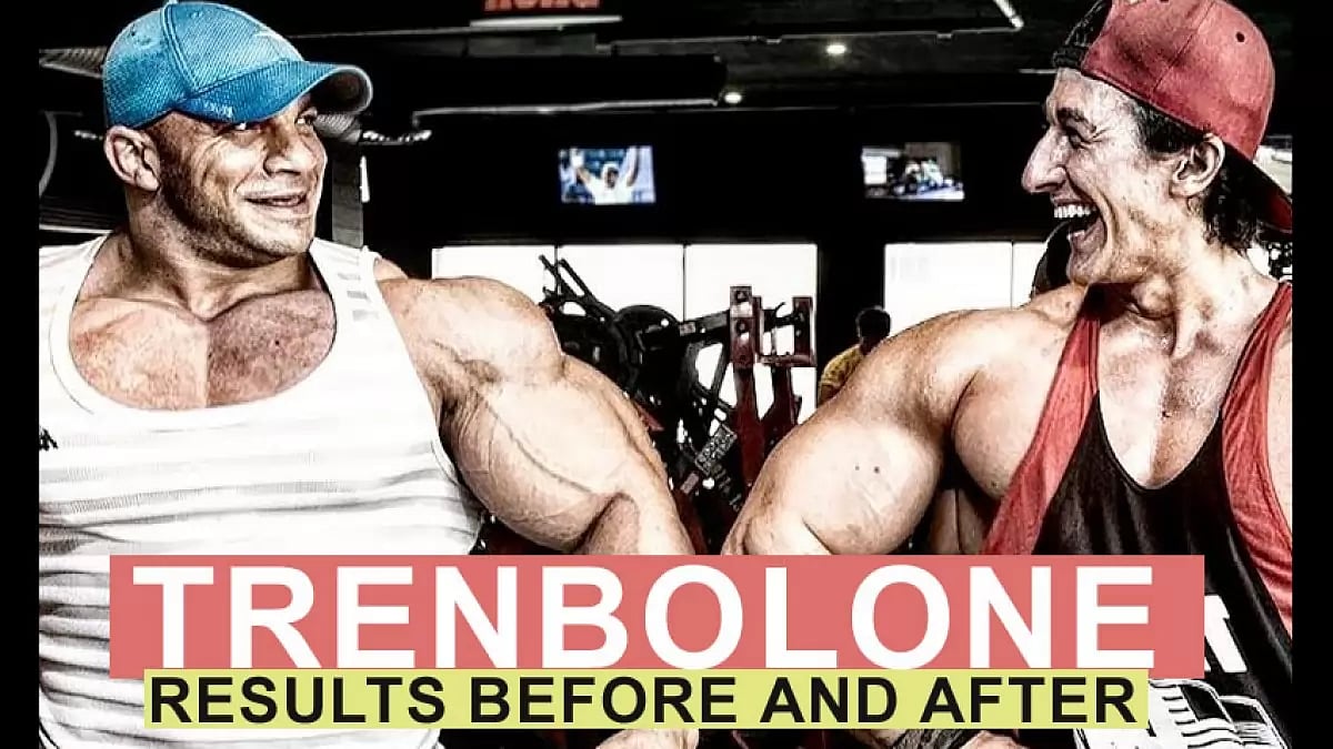 Trenbolone Steroids Alternative