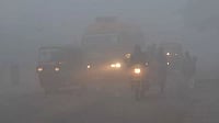 Dense Fog Disrupts Life Across UP, Taj Mahal Shrouded, Traffic Hit Dense fog shrouds northern Indian states leading to poor visibility