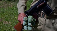 Six Militants Arrested In Manipur, 10 Acres Of Poppy Cultivation Destroyed File Photo; Representative image : In a separate development, police arrested a member of the outlawed Prepak (Pro) from his residence at Taothong Mamang Leikai in Imphal West district on March 9.