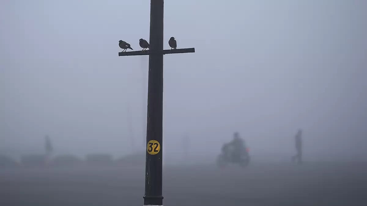 Weather: Fog in Delhi
