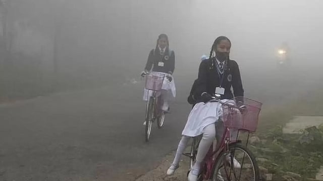 Noida Dense Fog: Authorities Close Night Bus Service After Accidents; Upper Speed Limit Reduced To 75kmph