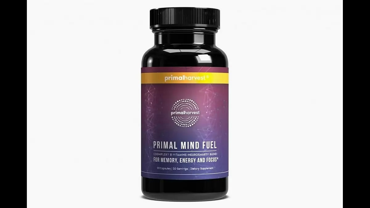 Primal Mind Fuel Reviews