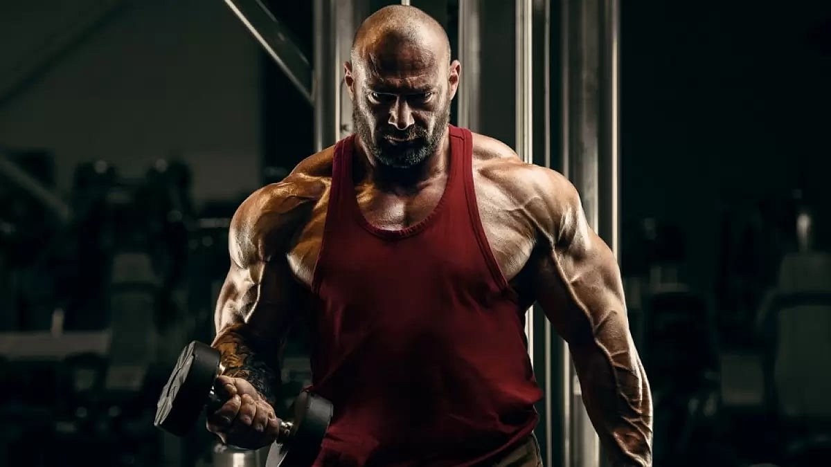 4 Best Oral Steroid For Strength In 2024