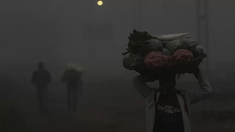 Weather: Cold wave - null