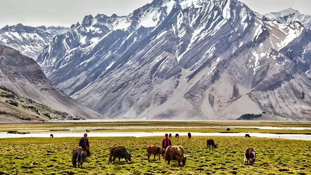 Herders facing hardships along LAC